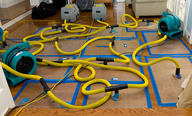 Professional Water Extraction technician working in Winslow, NE